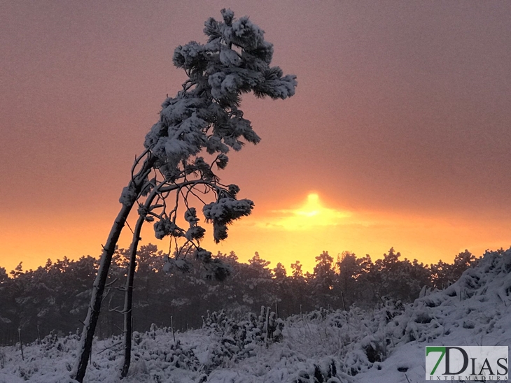 Fotografías de la nieve caída ayer en la Sierra de San Mamede