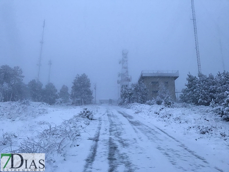 Fotografías de la nieve caída ayer en la Sierra de San Mamede