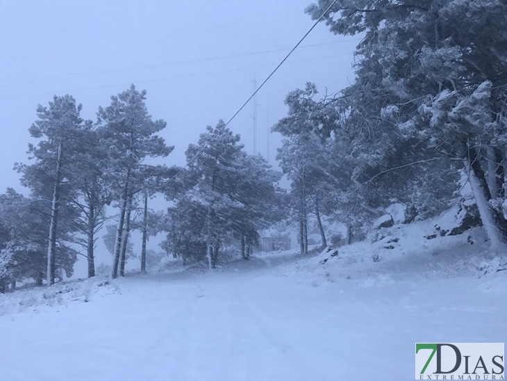 Fotografías de la nieve caída ayer en la Sierra de San Mamede