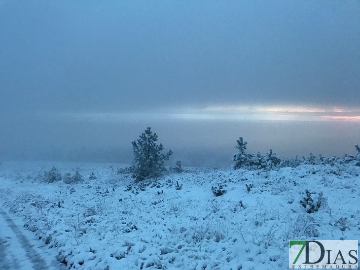 Fotografías de la nieve caída ayer en la Sierra de San Mamede