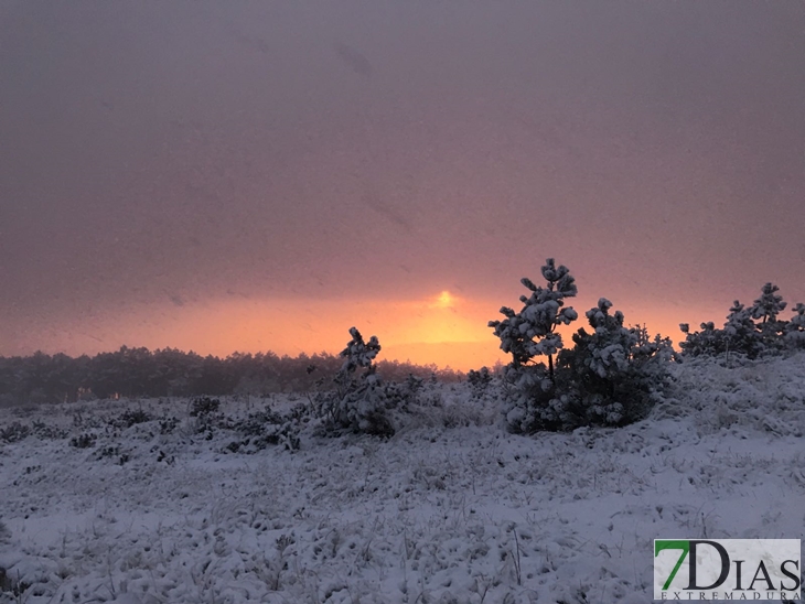 Fotografías de la nieve caída ayer en la Sierra de San Mamede