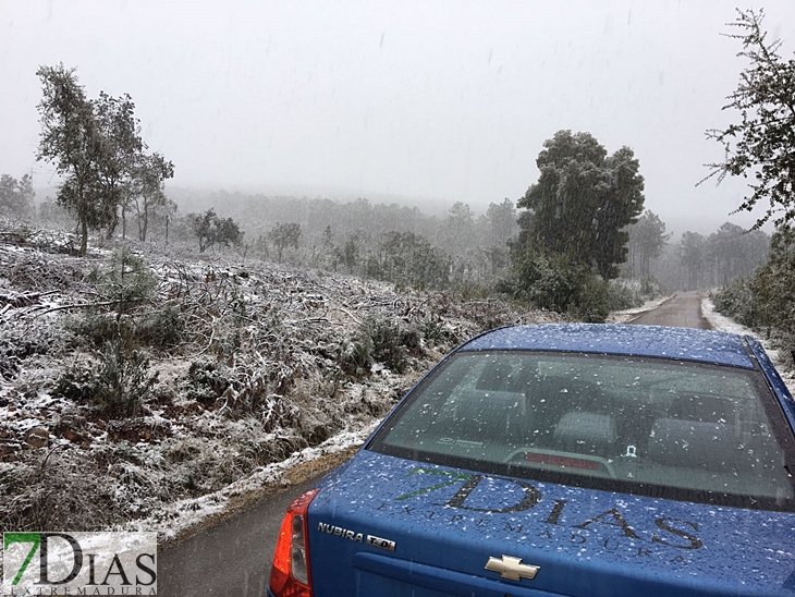 Fotografías de la nieve caída ayer en la Sierra de San Mamede