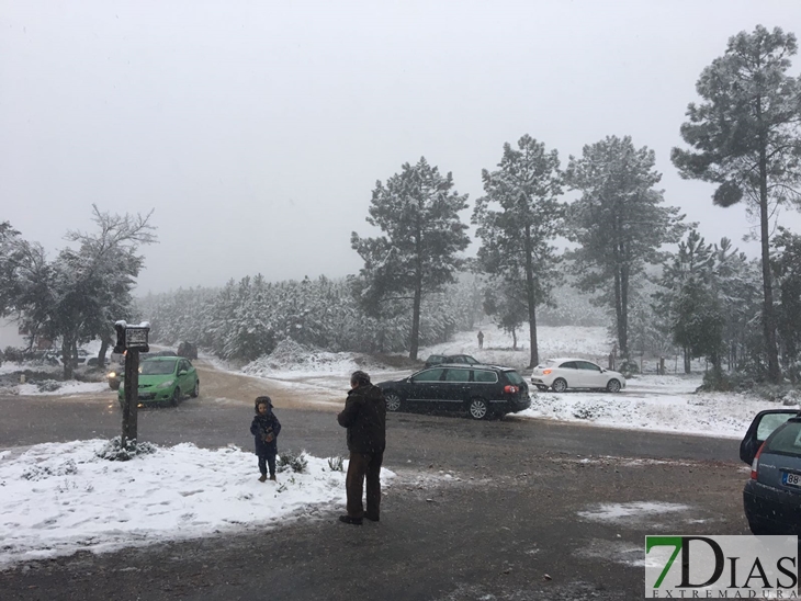 Fotografías de la nieve caída ayer en la Sierra de San Mamede