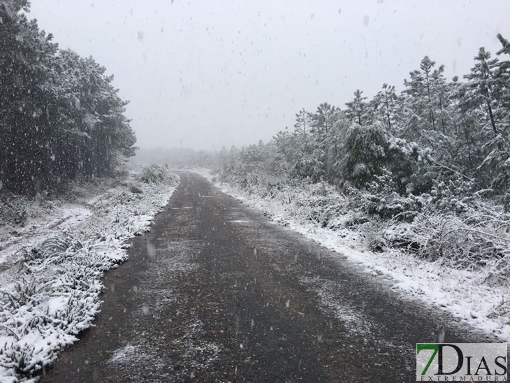 Fotografías de la nieve caída ayer en la Sierra de San Mamede