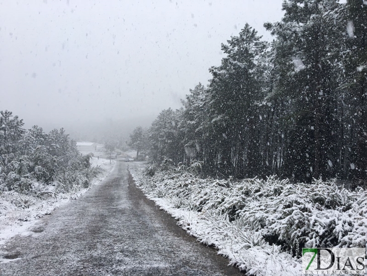 Fotografías de la nieve caída ayer en la Sierra de San Mamede