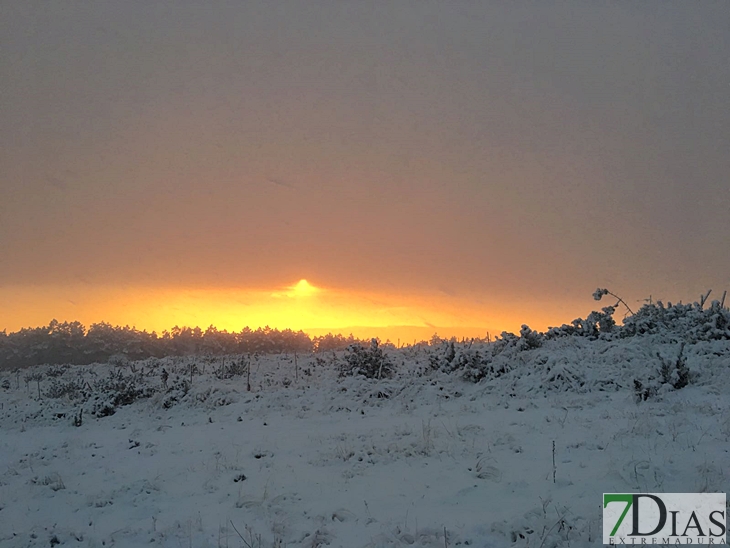 Fotografías de la nieve caída ayer en la Sierra de San Mamede