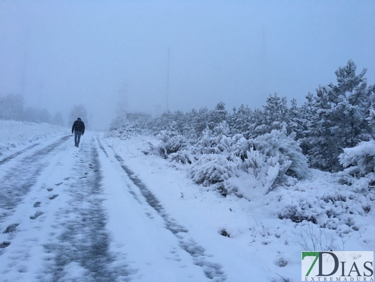 Fotografías de la nieve caída ayer en la Sierra de San Mamede