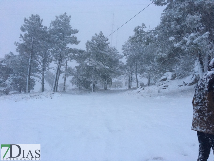 Fotografías de la nieve caída ayer en la Sierra de San Mamede