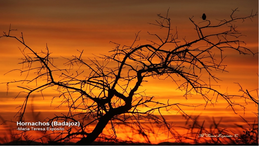 Espectaculares imágenes de los últimos días en Extremadura