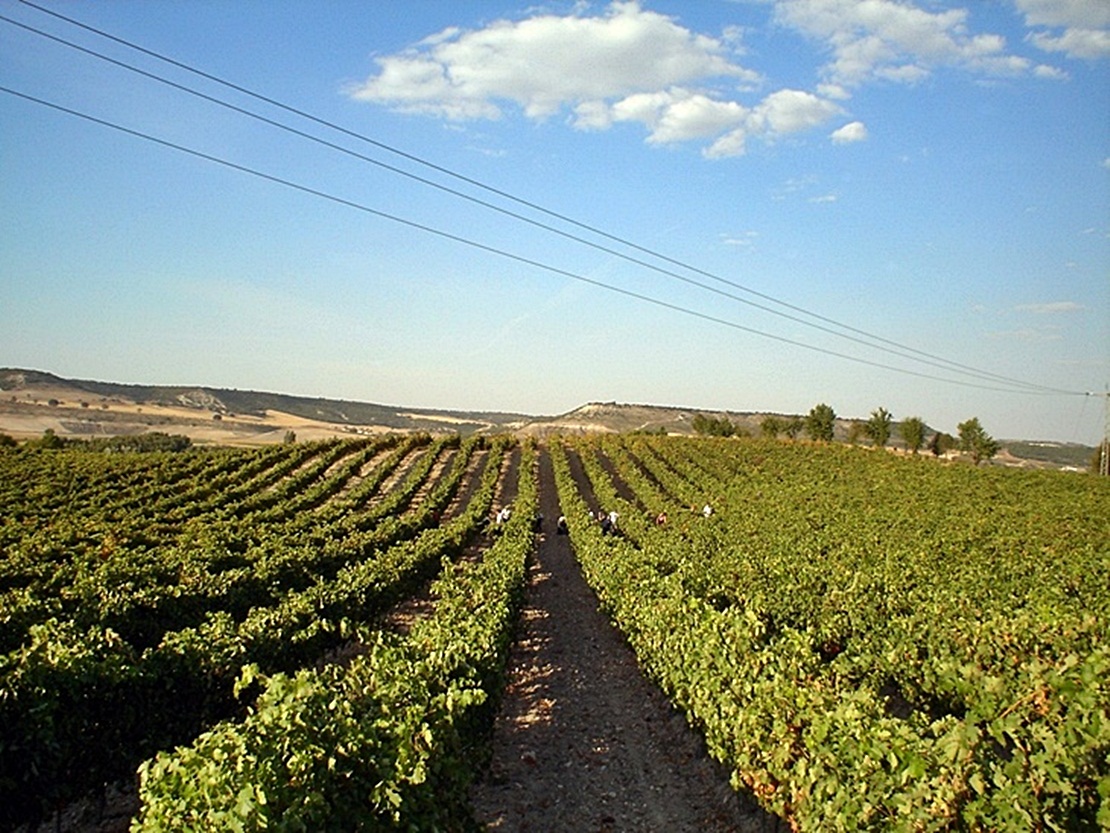 Extremadura reclama una reforma de la PAC que refuerce al agricultor