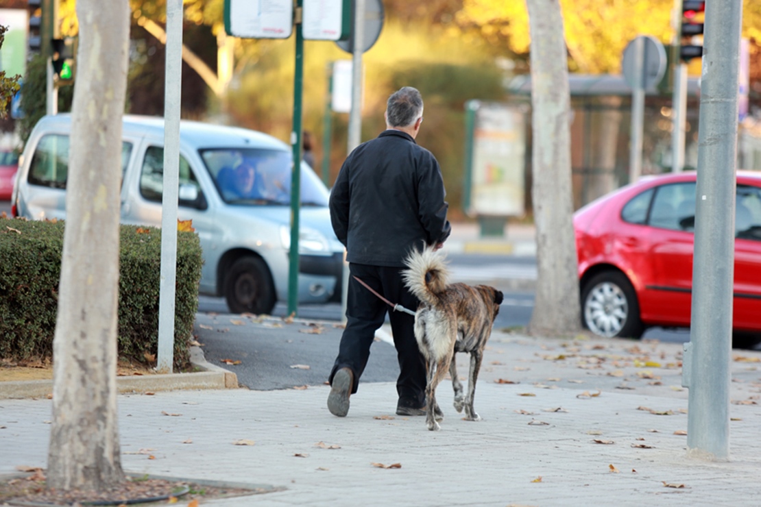 Policías de paisano velan por el cumplimiento de la ordenanza de animales