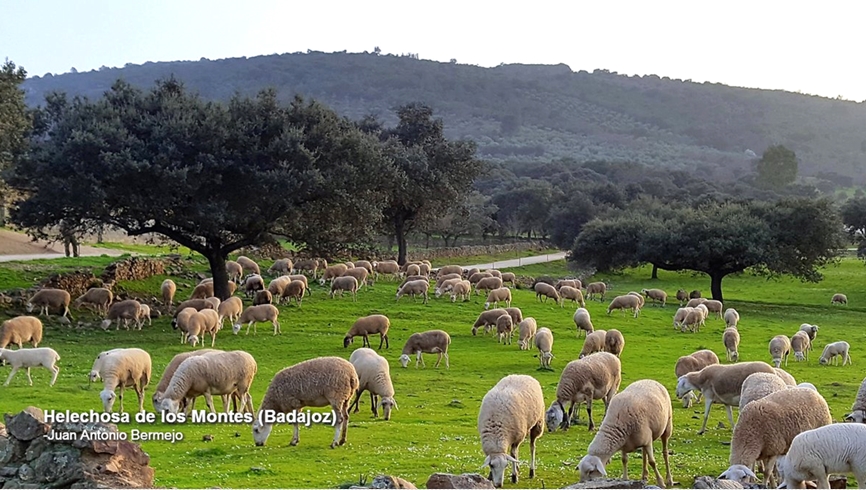 Espectaculares imágenes de los últimos días en Extremadura