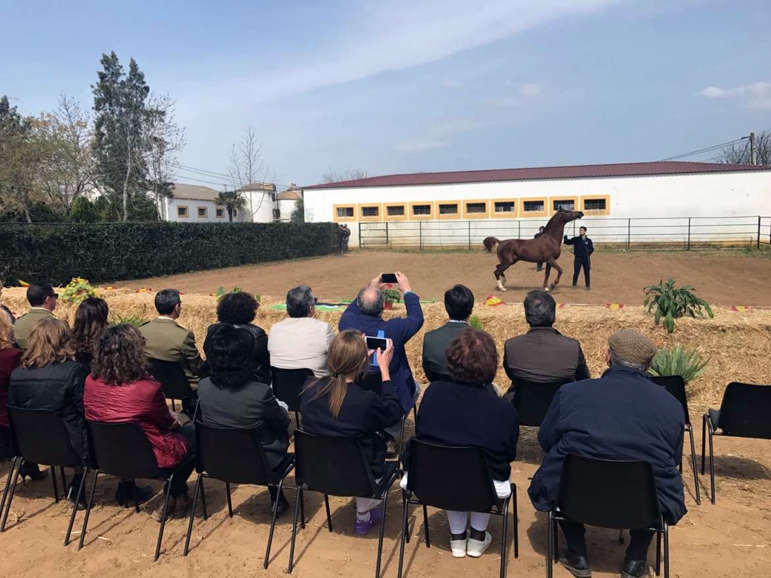 El Plan Estratégico del Sector Equino ya está listo