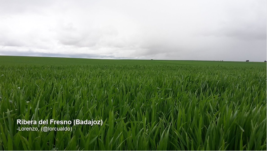 Espectaculares imágenes de los últimos días en Extremadura