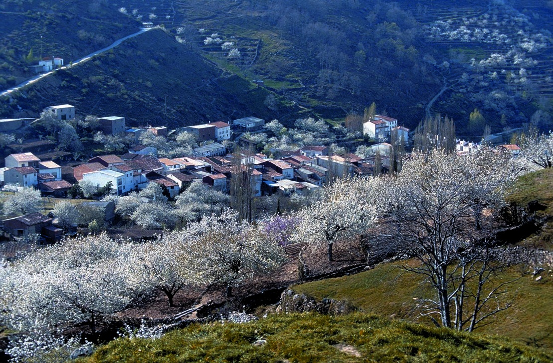 La ONCE elige el Valle del Jerte para ilustrar sus cupones