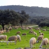 Espectaculares imágenes de los últimos días en Extremadura