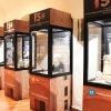 Una exposición conmemora los 150 años del Museo Arqueológico