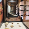 Una exposición conmemora los 150 años del Museo Arqueológico