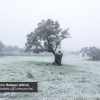 La nieve visita Extremadura a cotas bajas