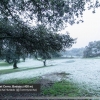 La nieve visita Extremadura a cotas bajas