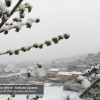 La nieve visita Extremadura a cotas bajas