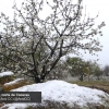 La nieve visita Extremadura a cotas bajas