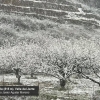 La nieve visita Extremadura a cotas bajas