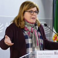 Ciudadanos ratifica su apoyo a Victoria Domínguez
