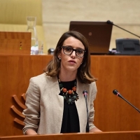 PP: “La suspensión de los Ceres demuestra la incompetencia de Vara”