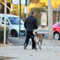 Policías de paisano velan por el cumplimiento de la ordenanza de animales