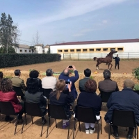 El Plan Estratégico del Sector Equino ya está listo
