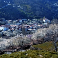 La ONCE elige el Valle del Jerte para ilustrar sus cupones