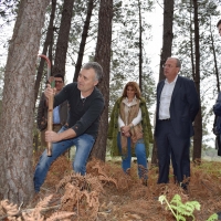 Monago pide a Vara "que se queje menos y actúe más"