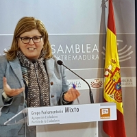 Domínguez: "Queremos saber si Extremadura va a emitir nueva deuda"