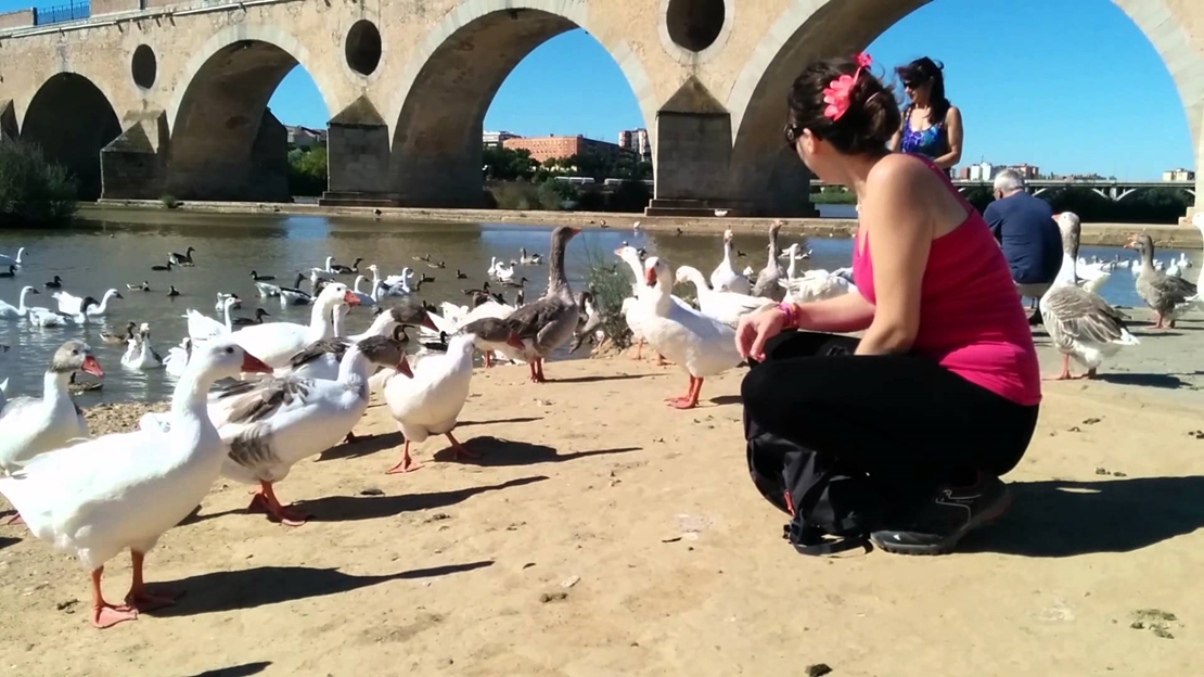 Cívica: “La biodiversidad del Guadiana está en peligro”