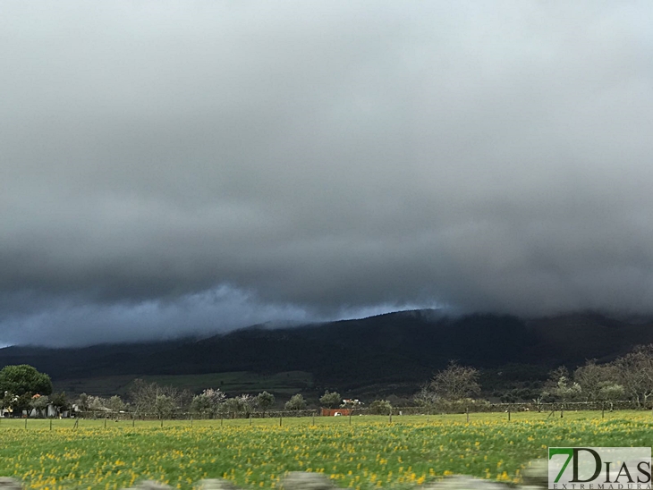 Imágenes de la ligera nevada de ayer en Sao Mamede