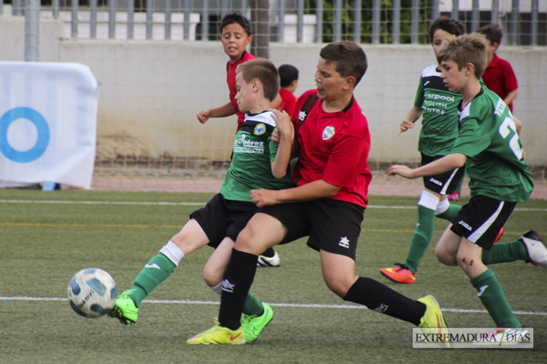 El CD. Badajoz homenajeará al deporte base de la ciudad