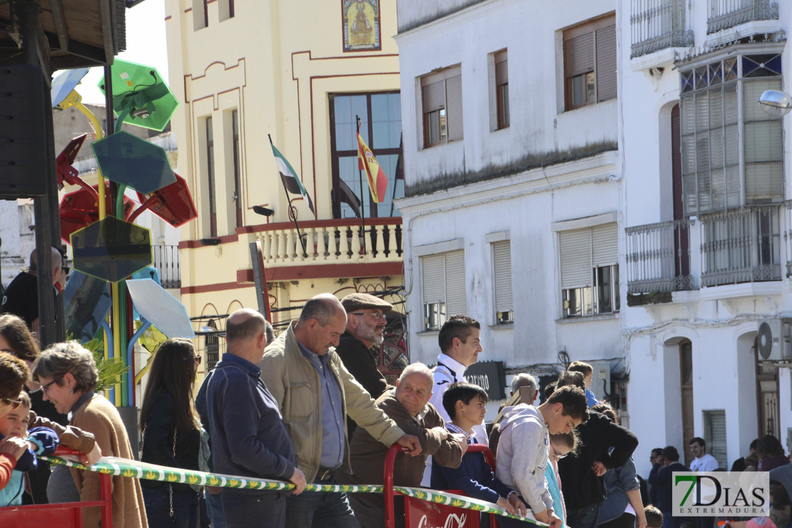 Imágenes de la XII Media Maratón de Alburquerque I