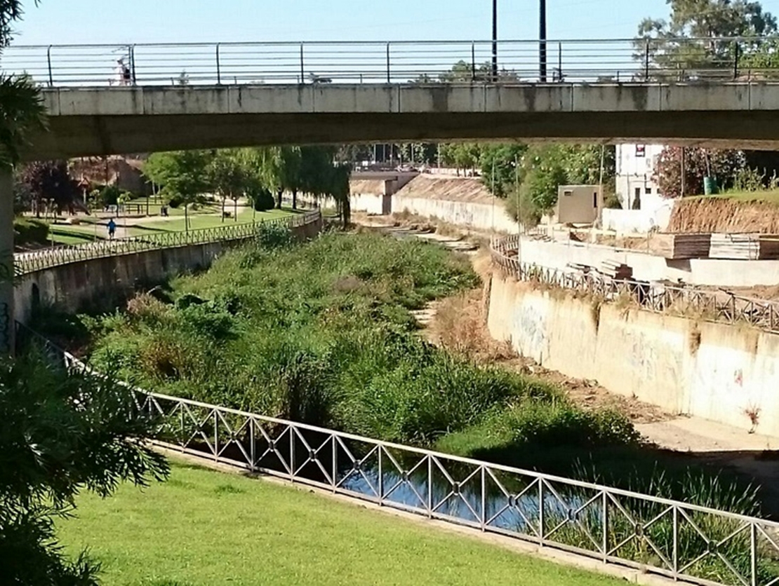 Peligro de envenenamiento para las mascotas en Badajoz