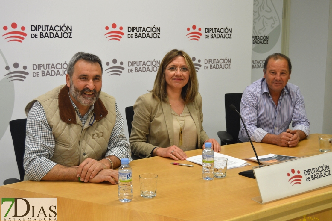 La Albuera acogerá por segunda vez el Campeonato Regional de Galgos