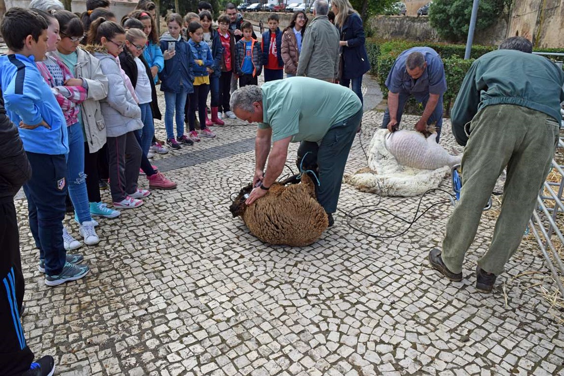 El Museo Arqueológico prepara la III edición de la Esquila Didáctica