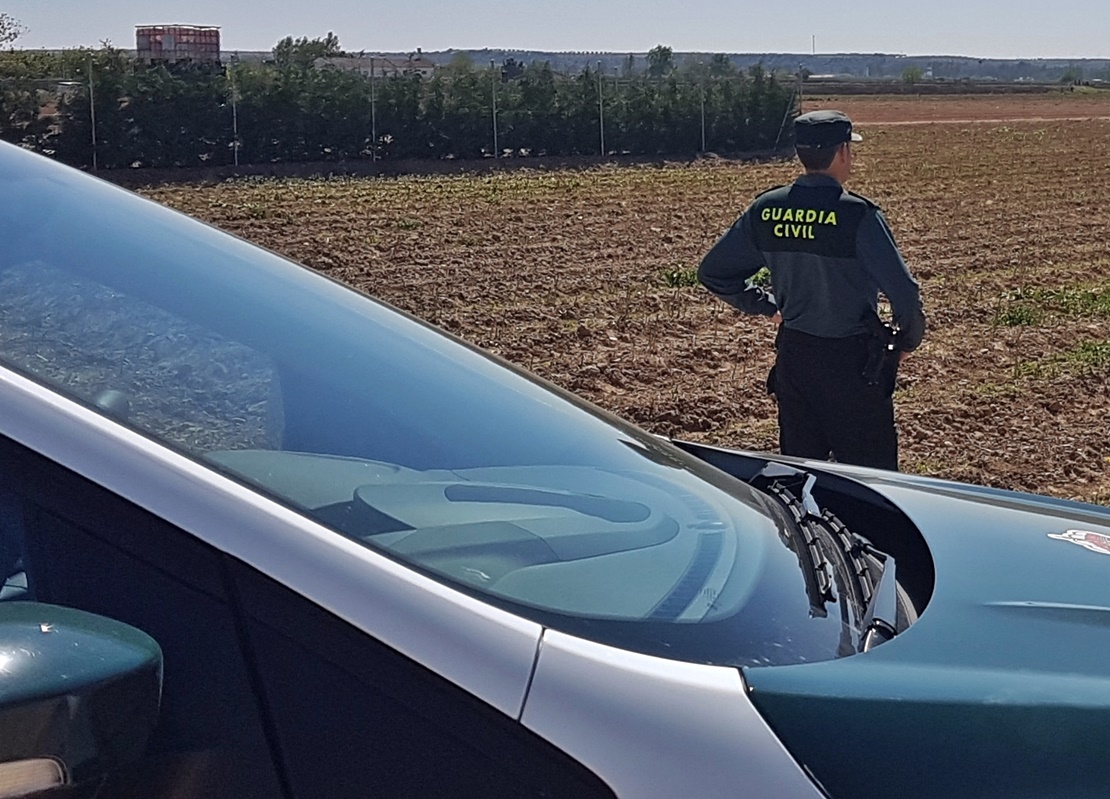 Investigan a dos vecinos de Badajoz por el robo de 700 kilos de espárragos