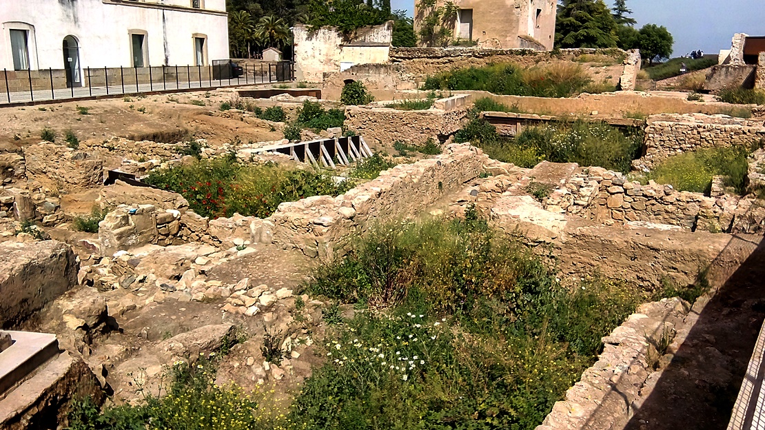 La vegetación invade el yacimiento arqueológico de la Alcazaba