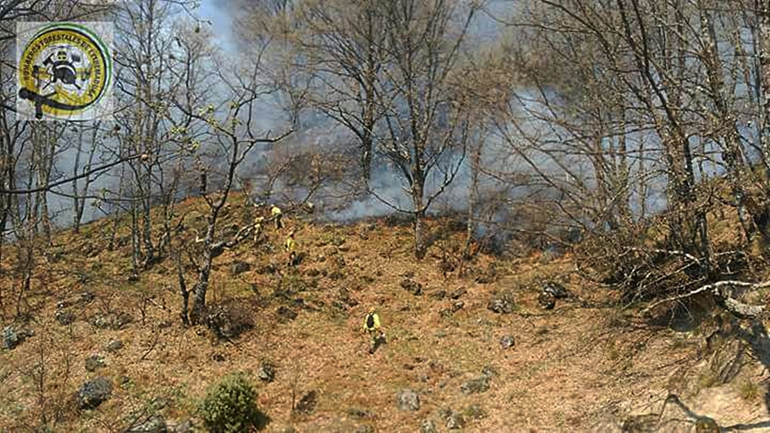 Declarado otro incendio próximo al del Jerte, que continúa activo