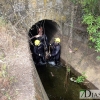 Peligroso rescate de un animal salvaje de un canal de regadío