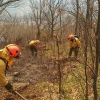 Medio Ambiente: &quot;Los incendios del Jerte han sido provocados&quot;