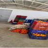 Intervenidos 840 kilos de naranjas y patatas vendidas de forma ilegal