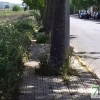 Denuncian el estado de abandono de algunas zonas de Badajoz