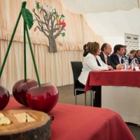 El cerezo en flor, privilegio de Extremadura