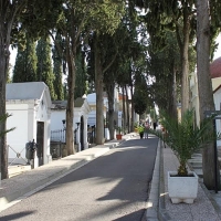 Comienzan los estudios para hacer más accesible el cementerio de Mérida